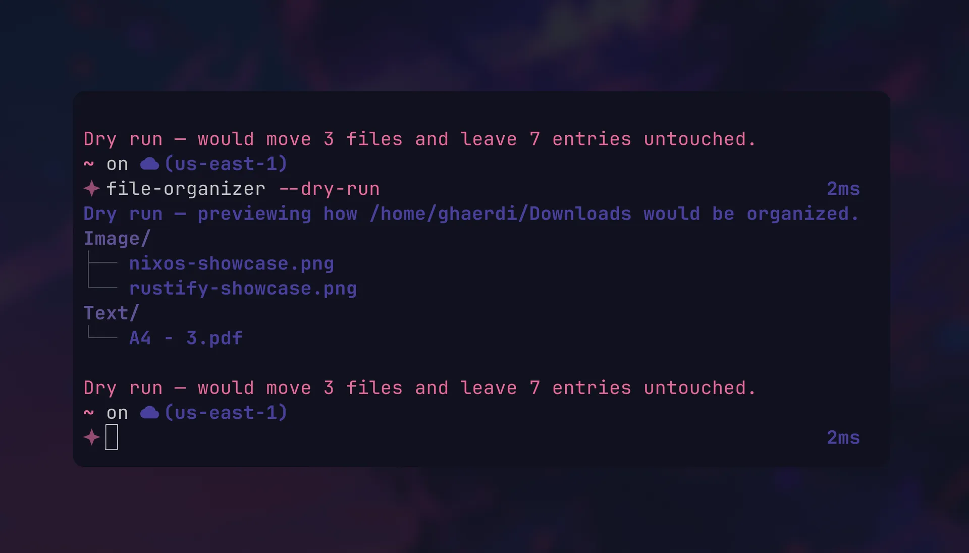 File organizer showcase — organizing files by extension