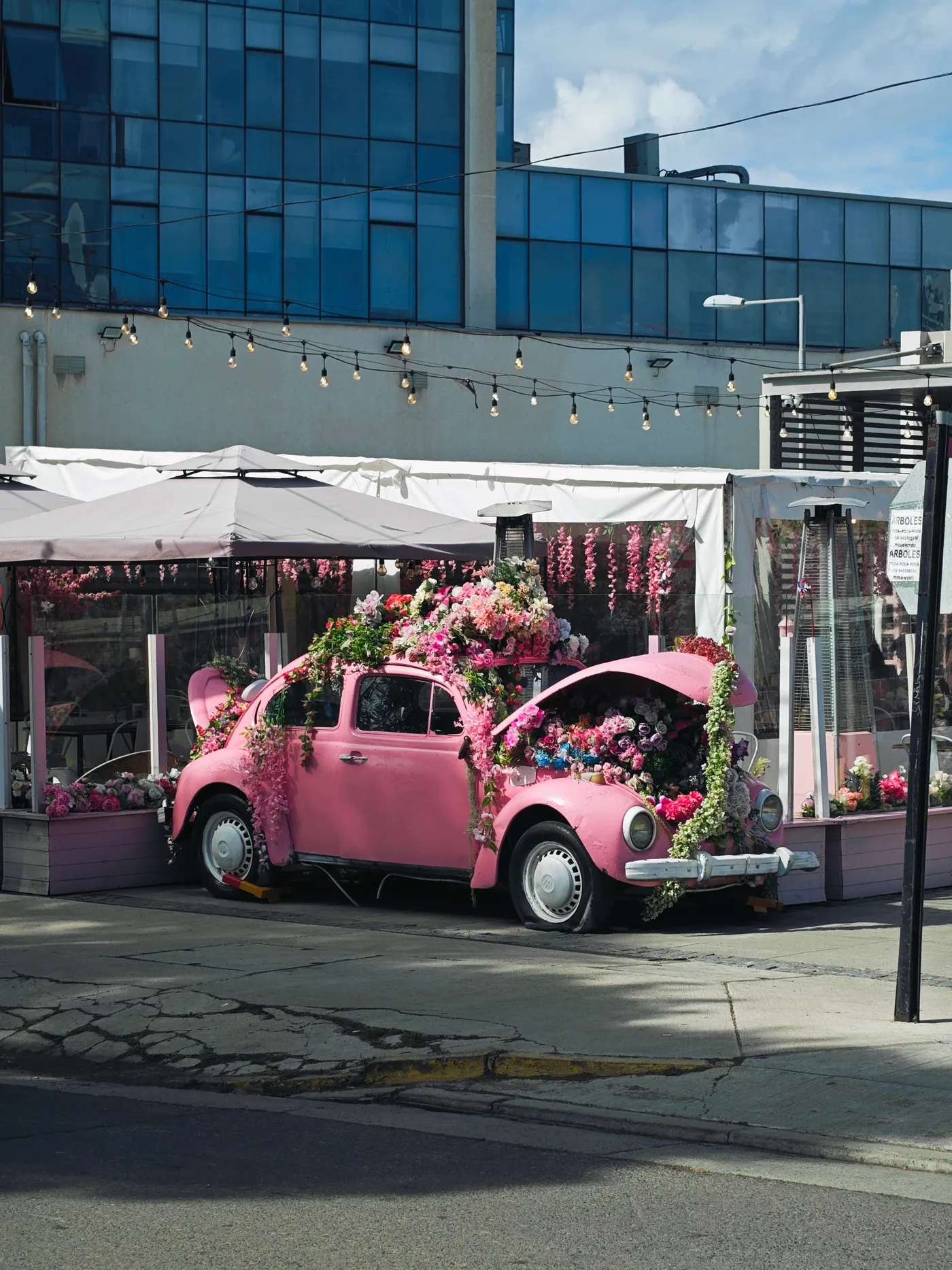 Car with flowers